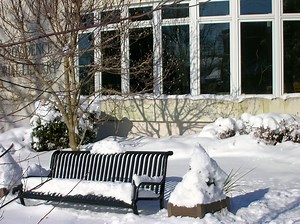 Library's Strategic Plan Identifies Five Key Areas