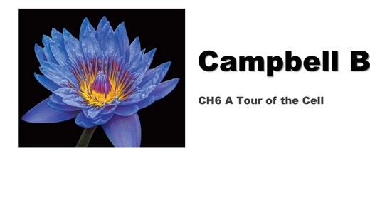 【CAMPBELL BIOLOGY 坎贝尔生物】坎贝尔生物讲解分享--CH6 A Tour of the Cell