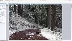 Rendering in Solidworks Photoview 360