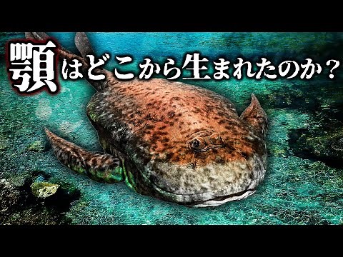 【ゆっくり解説】顎の進化 顎は元々〇〇だった！その意外な起源とは！？
