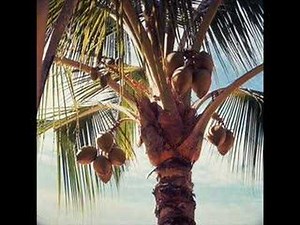 The Killers - Read My Mind (Gabriel Dresden Remix)