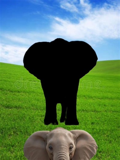 5.1K views · 80 reactions | Image set Challenge ❤️✅ #viralreelschallenge #reelsvideo #trendingreel #historyfactscl #archaeoloynews #photochallenge #BMW #facematch #AncientDiscoveries | Amrit Jyoti | Facebook