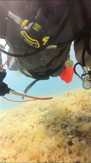 Me Diving Shallow at 5m! Drysuit & Stage S80 in Rabac | Diving Girandella