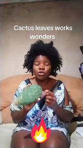 Cactus tree works wonders | BK lady # 04