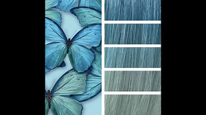Vous cherchez une coloration temporaire qui s'estompe harmonieusement sans faux reflets ? Color Fresh Create est la coloration qui offre de superbes effets pastel au fur et à mesure des shampoings! | Wella Professionals