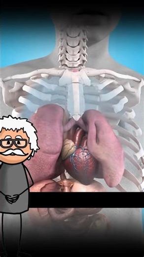 👨‍⚕️What to do in case of a lung perforation👨‍⚕️