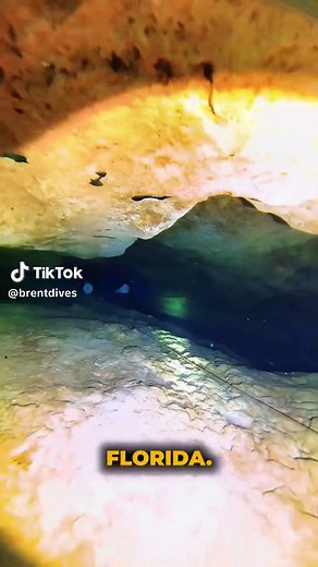 Cave diving the furthest I’ve ever been in Peacock Springs with my buddy Richard. Headed to the Peanut restriction and then a sink hole. Follow along to see the rest of the cave in my next video. #scubadiving #cavediving #scubatiktok