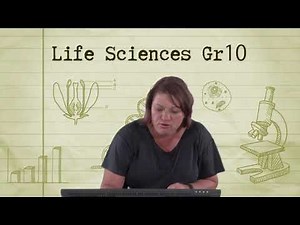 1071 Gr10 LS Anatomy of Dicotyledonous Plants