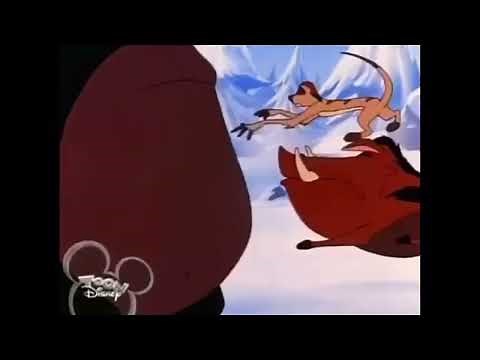 Timon and Pumbaa Bear Belly Bounce With Cartoon Sound Effects
