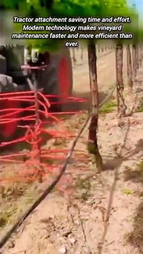 Innovative vineyard weeder attachment for perfect vine maintenance.
