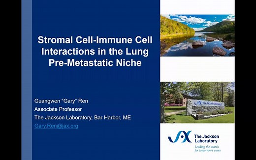 Stromal immune cell interactions in the lung premetastatic niche