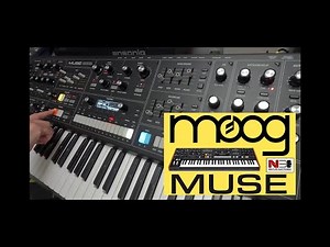 Moog Muse Sequencer Arpeggio Combination