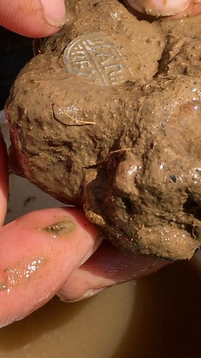 189K views · 1.8K reactions | This Anglo Saxon penny was embedded into this lump of clay. It was a baking hot day one summer a few years back when Michael C came back with this find. #metaldetecting | The Metal Detectives Group | Facebook