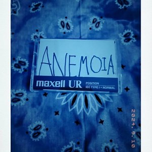 Veiled Eyes - Anemoia (Slowed & Reverb/Instrumental) (2025) [EP]