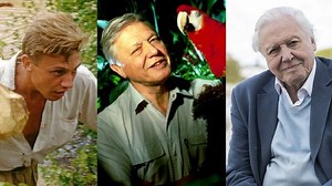 David Attenborough at 90