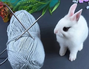 You will love this idea 😍 very easy two needle knitting pattern #twoknit #knitting | Knitting & Crochet World