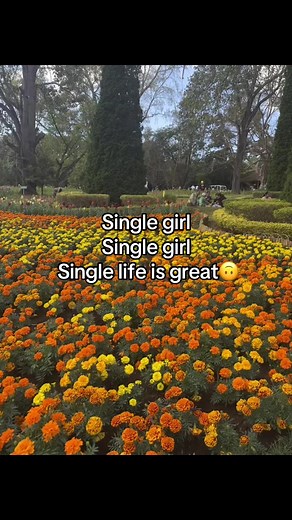 Single Life in Myanmar: Embracing Freedom and Fun