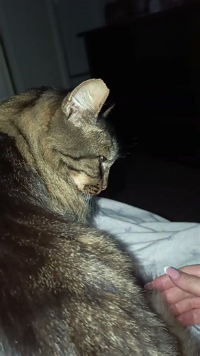 Sa di già che devo lasciarla 😱😮