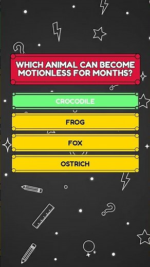 Animal Challenge: Which & Animal | 3 Questions About Animals