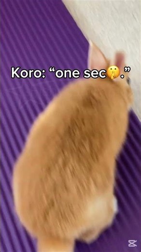 SATIRE || 6767 million robux debt meme || idk || HUH || #fypシ #helpmemakethismakesense #idk