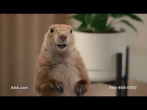 SNEAK PREVIEW: "Meet the AAA Gopher" (:15 Version)