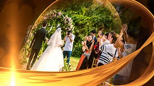 Gorgeous light effect wedding wedding trailer AE template