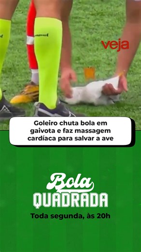 Um jogador de futebol amador turco salvou a vida de uma gaivota ao realizar uma massagem cardíaca depois que o animal foi atingido pela bola durante uma partida. O vídeo da ação viralizou nas redes sociais. O incidente aconteceu quando o pássaro, que voava em baixa altitude, foi atingido após o goleiro do Istanbul Yurdum Spor fazer um lançamento, confirmou à AFP nesta terça-feira, 24, Fatih Büyük, diretor esportivo do clube amador da cidade de Istambul. Acesse o site de #VEJA. Link na bio. #fute