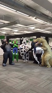 23K views · 161 reactions | It's time to start thinking about Halloween. Visit us in club for inspiration--we have something for everyone! https://www.samsclub.com/sams/morphsuits-adult-inflatable-costumes-assortment/prod22260333.ip | Sam's Club | Facebook