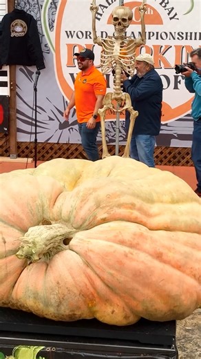 Throwback: Heaviest pumpkin 🎃 weighed 2,749 pounds (1,246.9 kilograms) - by Travis Gienger 🇺🇸 | Guinness World Records