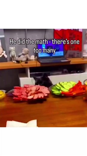 👀 that move in the end 😂🤣 #pet #cat #cute #funny #funnyvideos
