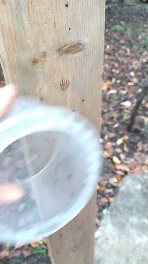 Ingenious Method for Reliably Protecting an Outdoor Plug Socket from a Veteran Electrician #electrician #diy #tips #tricks #electrical #outdoor #lifehacks | Tips Genius
