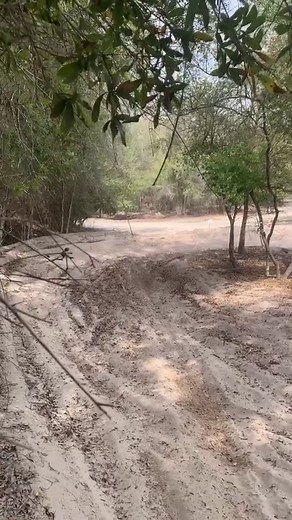 12K views · 627 reactions | Good first day here in Florida riding....