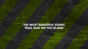 The Grid on Reels | Facebook