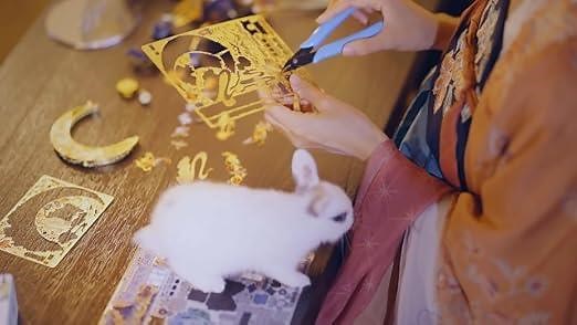 010380f725c24c8f9ca2e7800726bd30