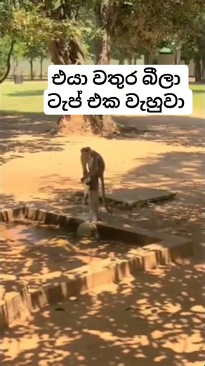 සතෙක් උනත් වතුර බීලා ටැප් එක වැහුවා ❤️