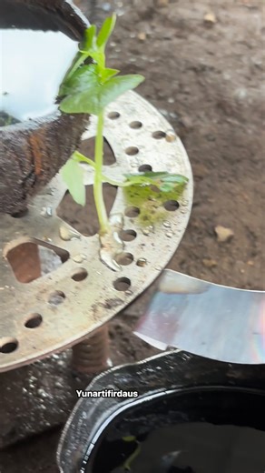 The hardening process aims to increase the hardness and strength of metal materials. #MetalProcessing #SurfaceTreatment #PlatingProcess #MetalHardening #IndustrialManufacturing #EngineeringProcess #HeatTreatment #MaterialScience #MetalCoating #MechanicalEngineering | Yunarti Firdaus