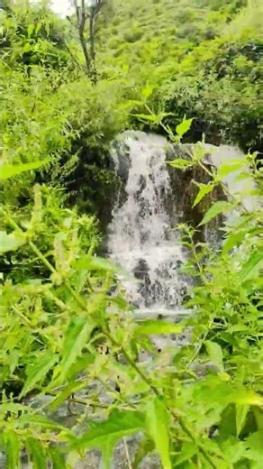 बरसात में बारिश का झरना।।।।।। वॉटरफॉल झरने बहने शॉर्ट