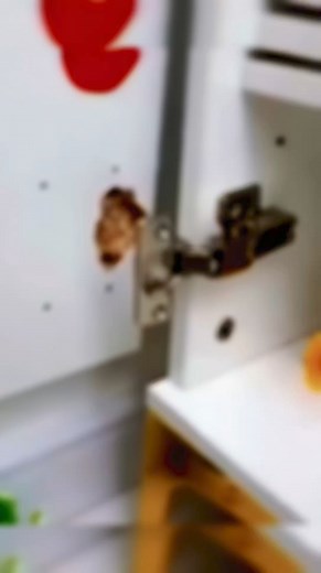 235 reactions · 33 shares |  Plaque de réparation de charnière: La solution idéale pour réparer les charnières endommagées sur les portes et placards!  Renforce et soutient les charnières usées, assurant une durabilité et une utilisation fluide.  Facile à installer et compatible avec différents types de meubles | Brico M Mhirsi | Facebook