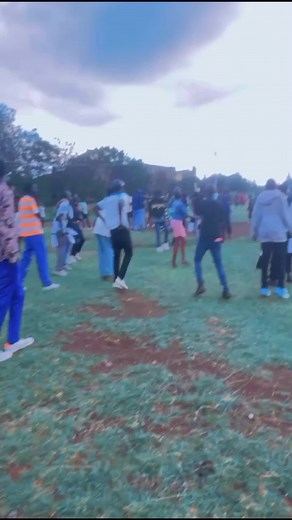 The Ninja Effect: Exploring the World of Ninja Costumes