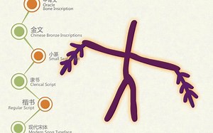 汉字演变之“舞”字。《说文解字注》舞：樂也。用足相背。从舛。𣞤聲。𦏶。古文舞。从羽亾。