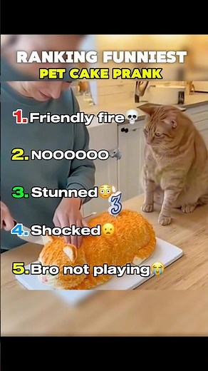 Ranking the Funniest Pet Cake Pranks Ever 😂🎂