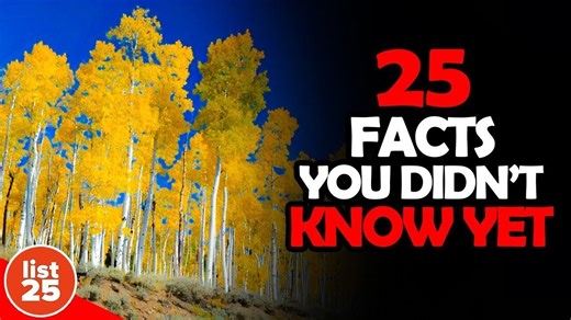 25 things you didn't know