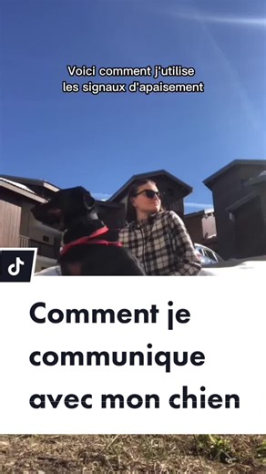 Comment Je Communique Avec Mon Chien - Webinaire 19 Avril