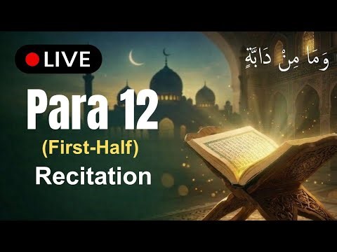 🔴Live Quran Recitation | Para 12 (First Half) | Learn Quran Online (UK/USA) | Qari Ali Hassan