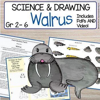 How to Draw a Walrus Animal Science and Art Fun Friday Directed Drawing Activity