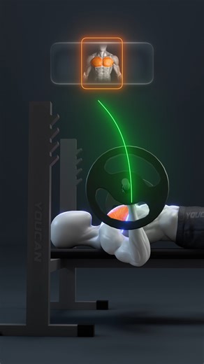 🔥 The PERFECT Bench Press in 5 Steps | DEMIC