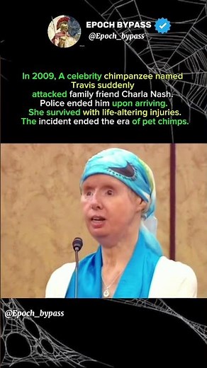 Travis the Chimpanzee: 2009 Attack That Ended Pet Chimp Era #historicalfacts