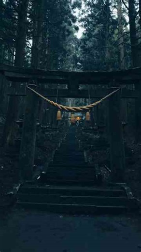 Rainy days in the forests of Japan