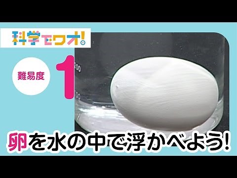 【自由研究】卵を水の中で浮かべよう！