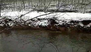 275 reactions · 239 shares | Winter Wonderland at Spring Mill State Park | Lawrence County Tourism | Facebook